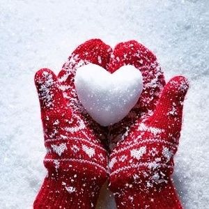 Meet your Posher, Brigitte